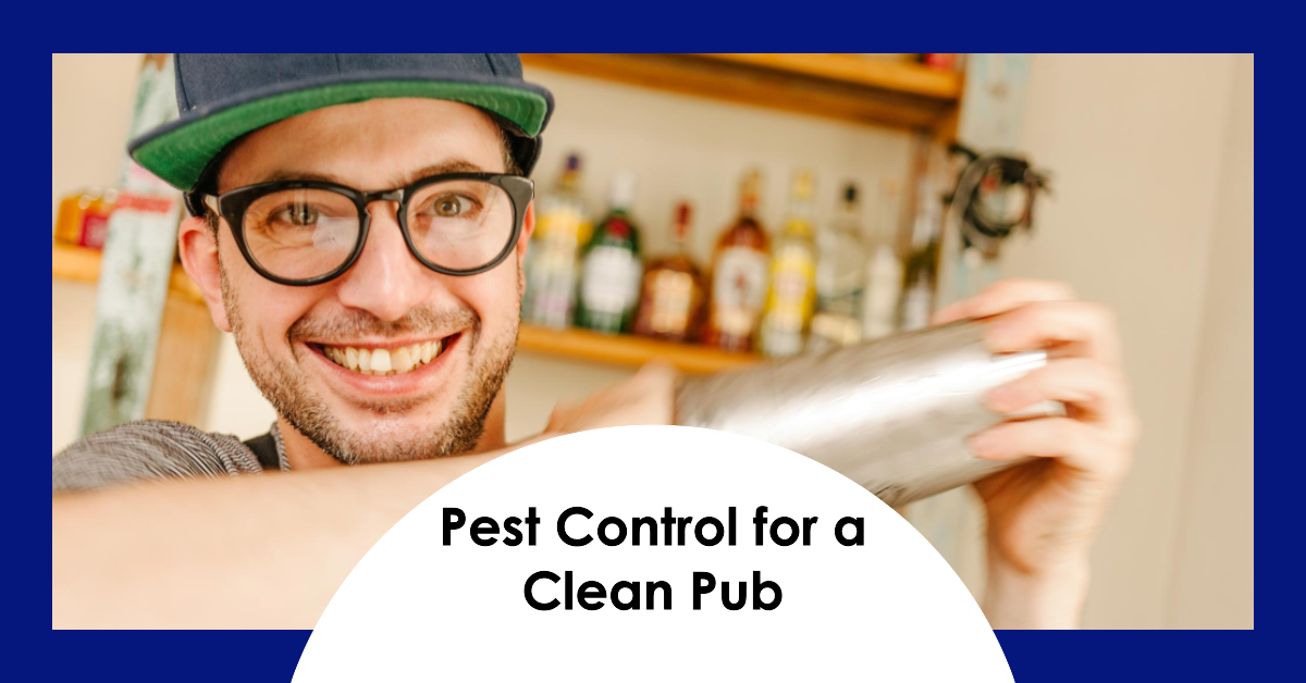 Prepping for a Pest Free Pub Before and After Pest Control Sprays