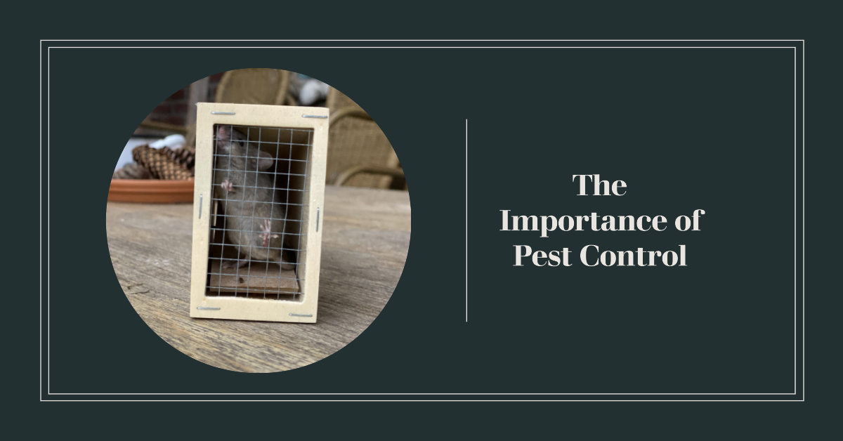 why pest control is important